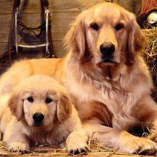 Схема вышивки «мама с малышом»