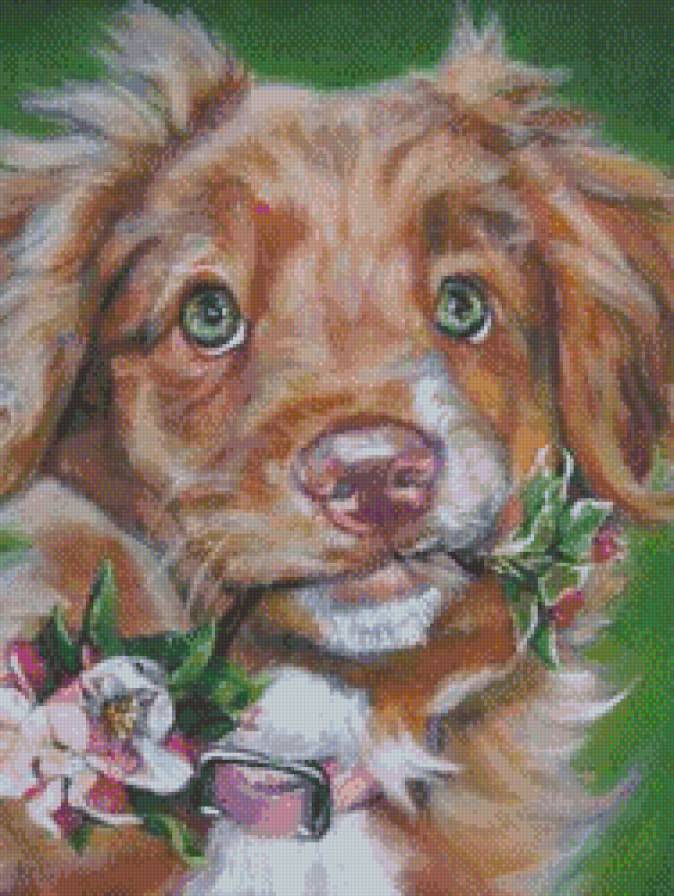 собака с цветком - собаки, животные - предпросмотр