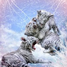 Схема вышивки «Серия "Большие кошки"»