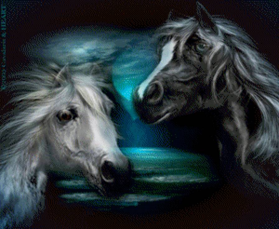 Серия "Кони" - животные, кони, лошади - предпросмотр