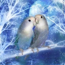 Схема вышивки «Серия "Птицы"»