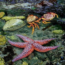 Схема вышивки «№457906»