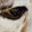 Предпросмотр схемы вышивки «№457921»