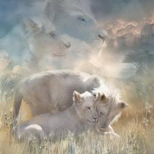 Схема вышивки «Серия "Большие кошки"»