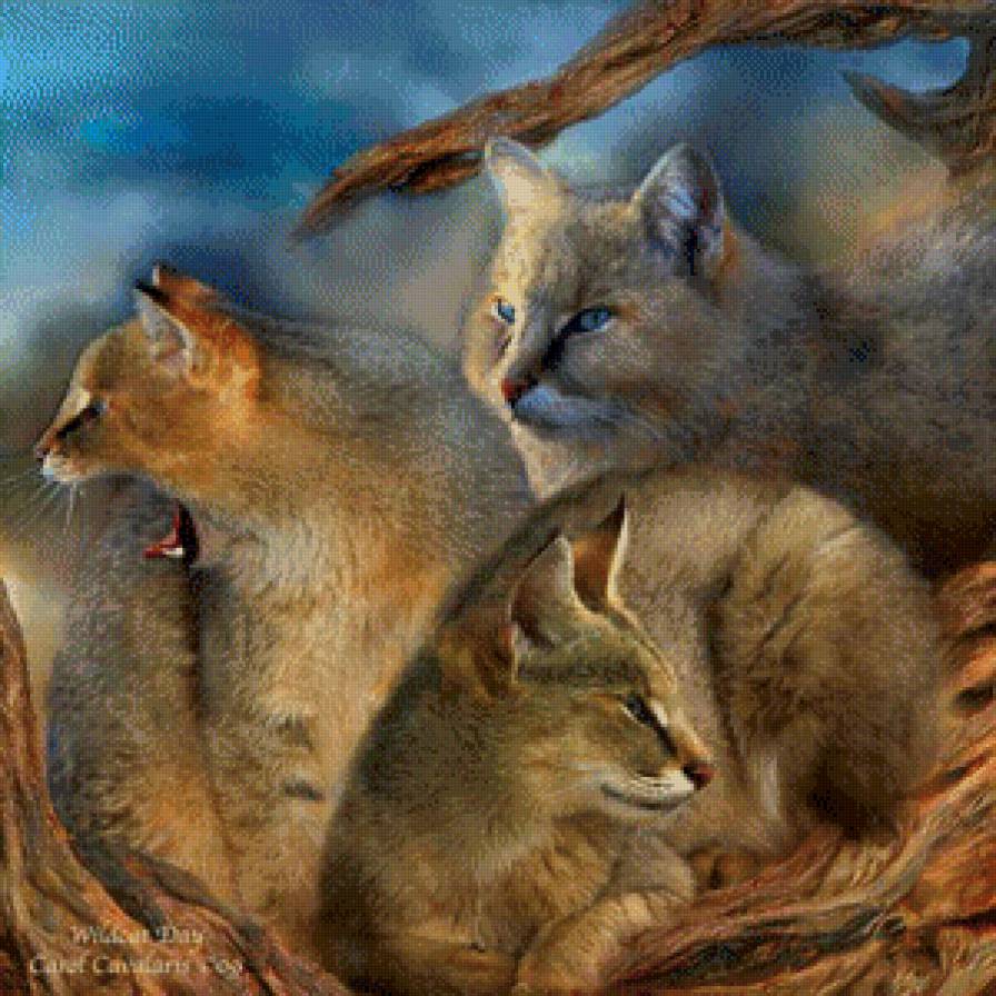 Серия "Большие кошки" - кошки, рыси, животные - предпросмотр