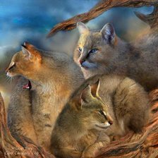 Схема вышивки «Серия "Большие кошки"»