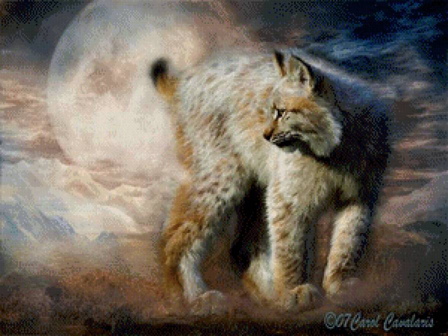 Серия "Большие кошки" - кошки, животные, рыси - предпросмотр