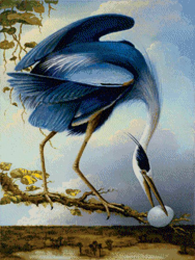 Журавль - азия, птицы, восток - предпросмотр