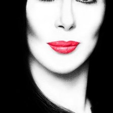 Схема вышивки «Шер»