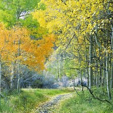 Схема вышивки «осень»