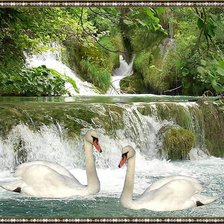 Схема вышивки «лебеди»