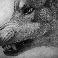 Схема вышивки «Волк»