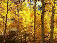 Схема вышивки «№458553»