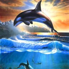 Схема вышивки «Дельфин»