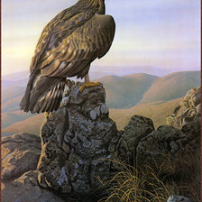 Схема вышивки «горный красавец»