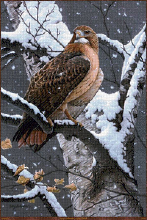 хозяин леса - мир животных - предпросмотр