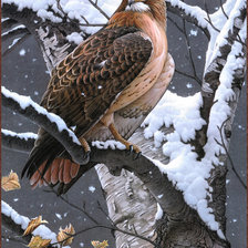 хозяин леса