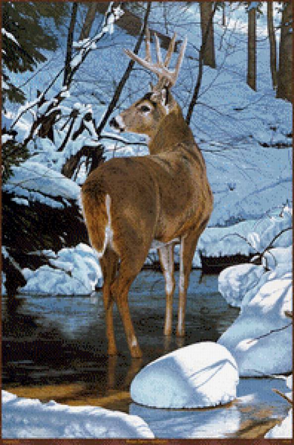 у воды - мир животных - предпросмотр