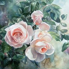 Схема вышивки «розы»