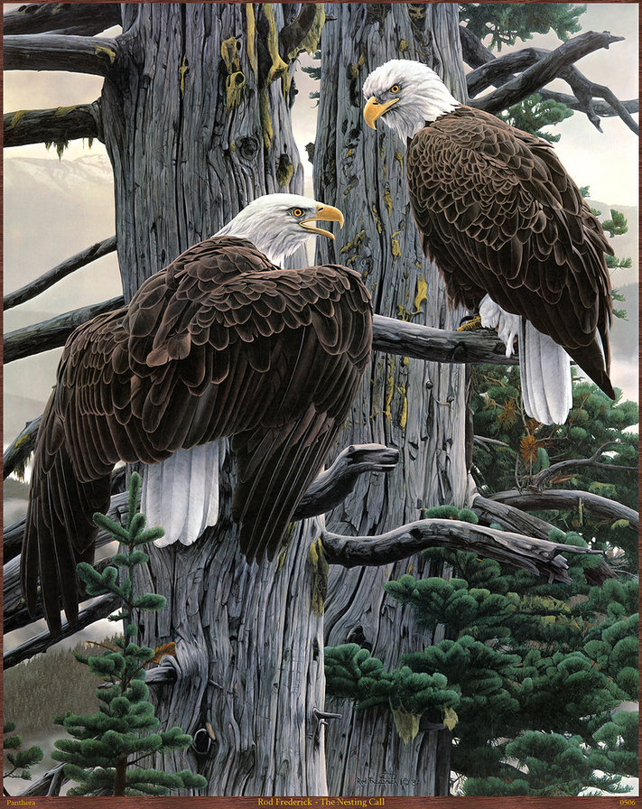 полетаем? - мир животных - оригинал