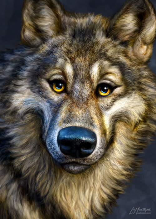 я тоже добрый - мир животных - оригинал