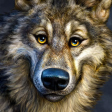 Схема вышивки «я тоже добрый»