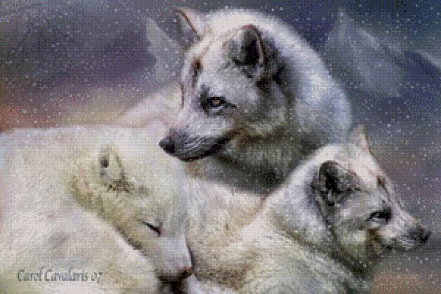 Серия "Волки" - животные, волки - предпросмотр