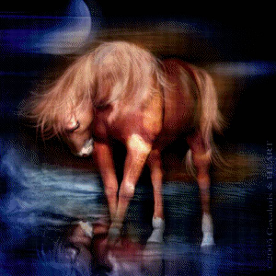 Серия "Кони" - лошади, животные, кони - предпросмотр