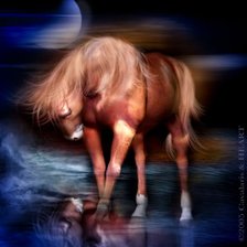 Схема вышивки «Серия "Кони"»