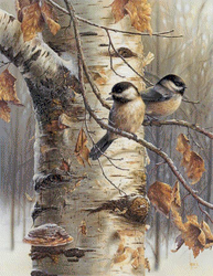 синички на берёзе - птички, птицы, синички, осень - предпросмотр