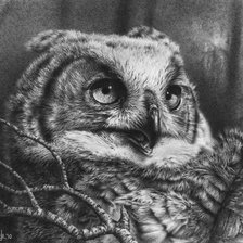 Схема вышивки «сова графика»