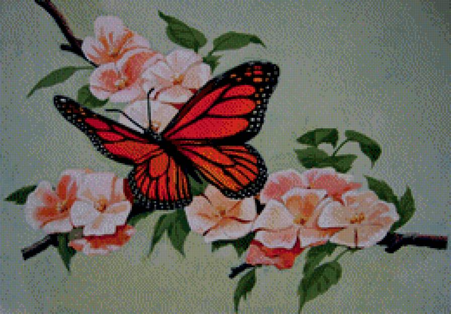 бабочка - весна, живопись, ветка, насекомое, цветы, сакура - предпросмотр