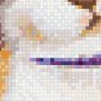 Предпросмотр схемы вышивки «Кот на фоне луны» (№459249)