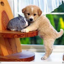 Схема вышивки «Давай дружить!»