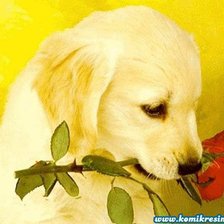 Схема вышивки «Это для тебя...»