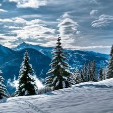 Схема вышивки «серия "зима"»