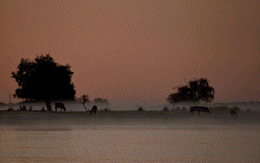 туман - предпросмотр