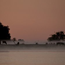 Схема вышивки «туман»