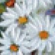 Предпросмотр схемы вышивки «Ромашки» (№459610)