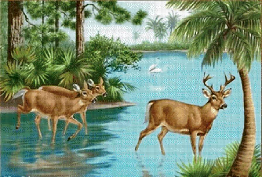 летний пейзаж - природа, лето, вода, животные, деревья - предпросмотр