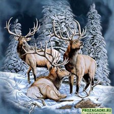 Схема вышивки «Олени»