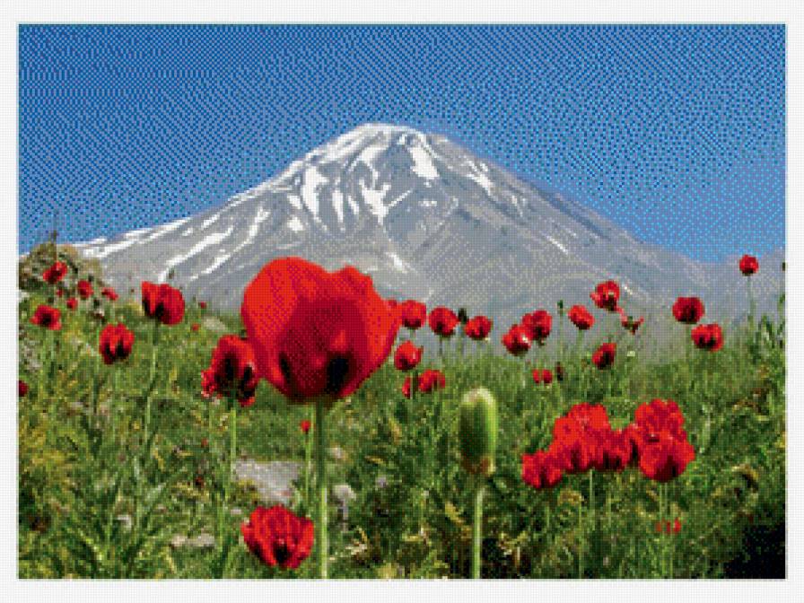 Горный пейзаж - горы, маки - предпросмотр