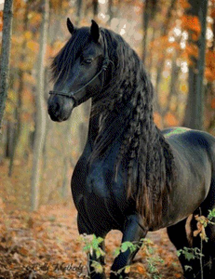 Лошадь - лошадь, животные - предпросмотр