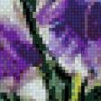 Предпросмотр схемы вышивки «Ирисы» (№459875)
