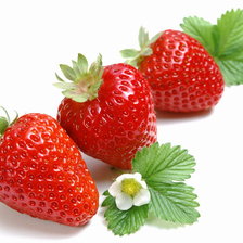 Схема вышивки «клубника1»