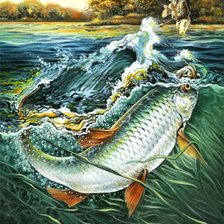 крупная рыба