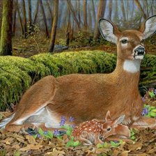 Схема вышивки «Оленёнок»