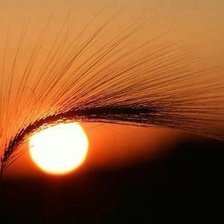 Схема вышивки «солнце»