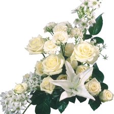 Схема вышивки «№460281»