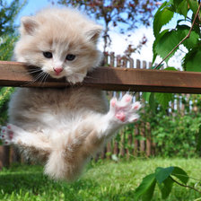 Схема вышивки «хулиган»